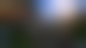 Taming Our First Mounts - Dark and Light