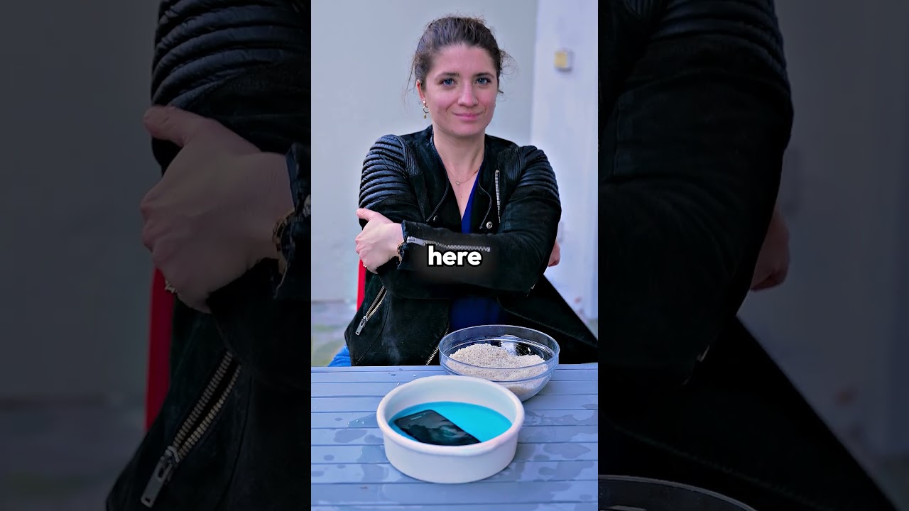How to SAVE a water-damaged PHONE!