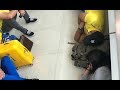 IPL 2019: Tired Dhoni, Sakshi sleeping on floor after last night match