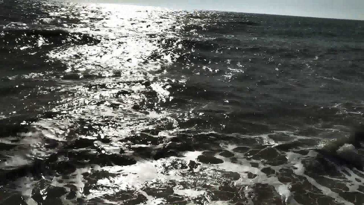 Aphrodite - Earth Tree Healing