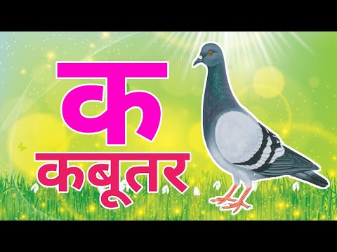 A for Anar (Pomegranate), AA for Aam (Mango), Hindi Alphabet, A Aa I E U Oo, k se kabutar, a se a...