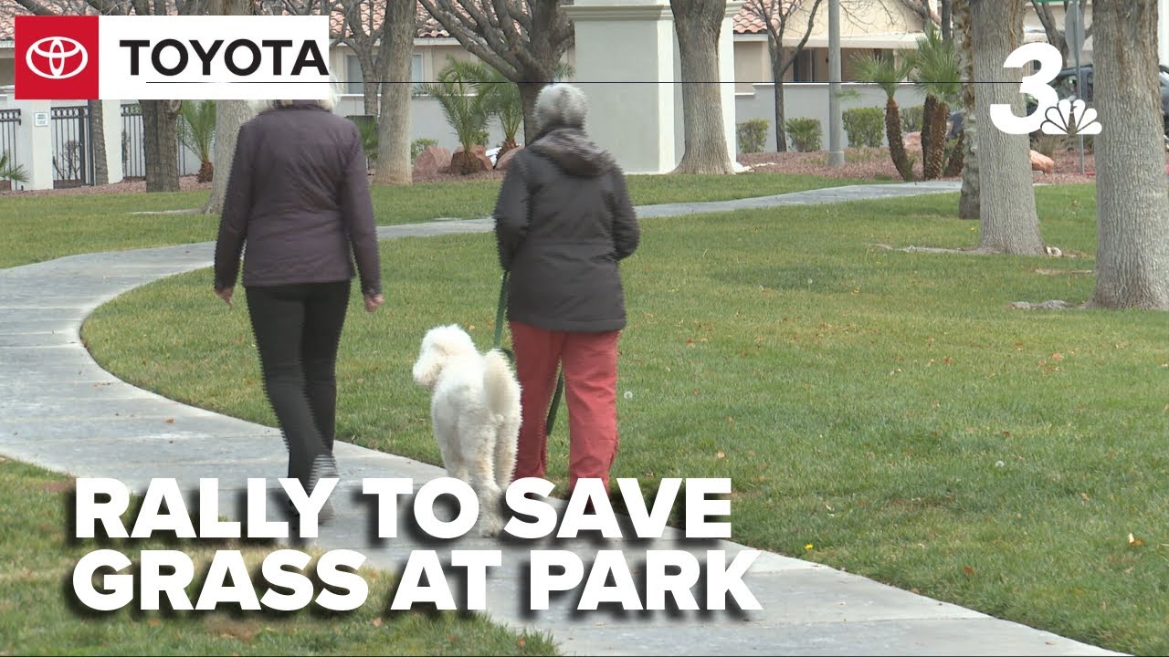 Residents rally to save park grass amid water conservation efforts in Green Valley