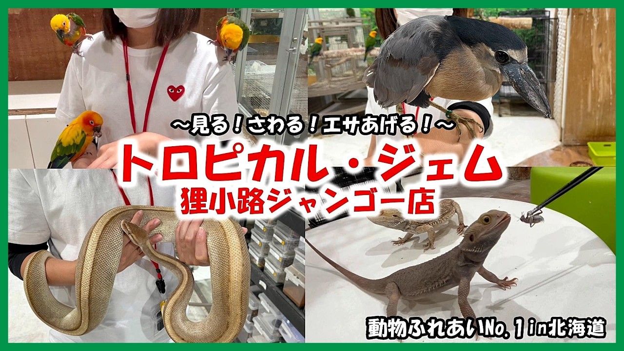 アニマル カフェ 札幌