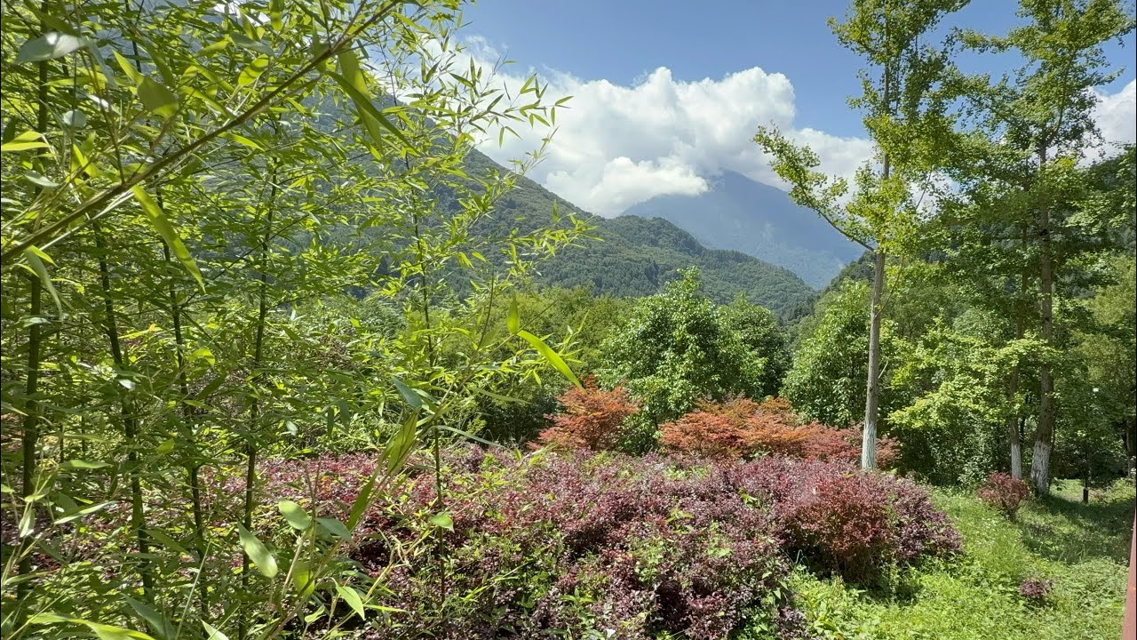 Китайский сад больших панд в Волуне