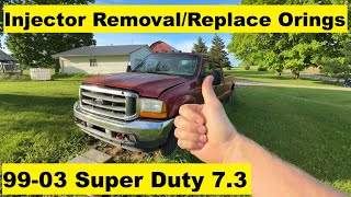 Match Highlights Injector O Ring Replacement 7.3 Diesel Ford Super Duty F250 F350 F450 Excursion 99 00 01 02 03