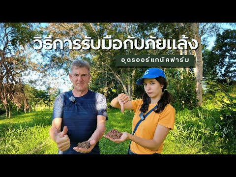 5 Ways to Cope with Drought Problems, Udon Organic Farm Edition | Udon Organic Farm