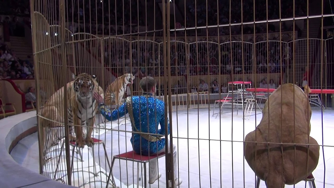 Аттракцион «Империя львиц» п/р Виталия Смолянца, Россия