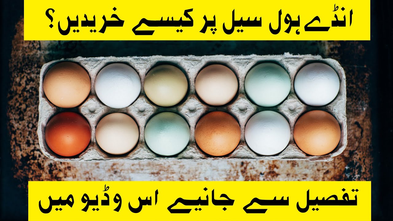Eggs Wholesale Rates muhammadshoaibvlogs 55 YouTube