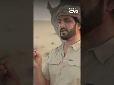 الطبيعة مع علي بن ثالث معلومات عجيبة عن جناح طائر البومة