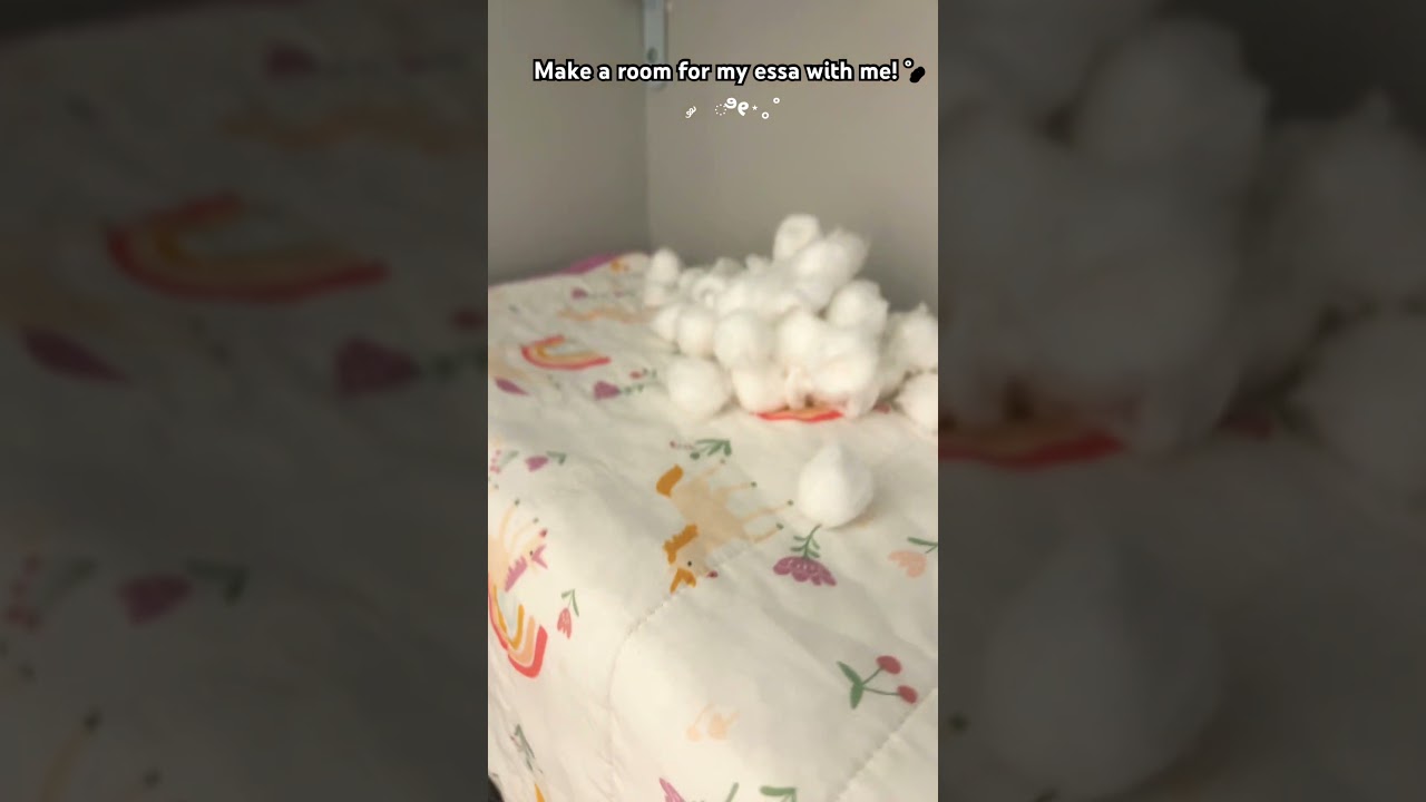 Make a room for my essa with me #essa #guineapighome