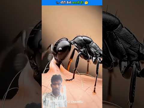 chittiyan 🤯 bahut jor 🤔se karte Hain ❌ #gaming #makeupshorts #bahubali #youtube #shortsfeed