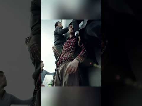 Весь город бежал к одной цели