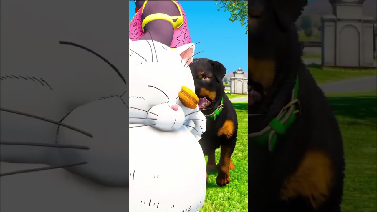 Dogs cheated his burger 