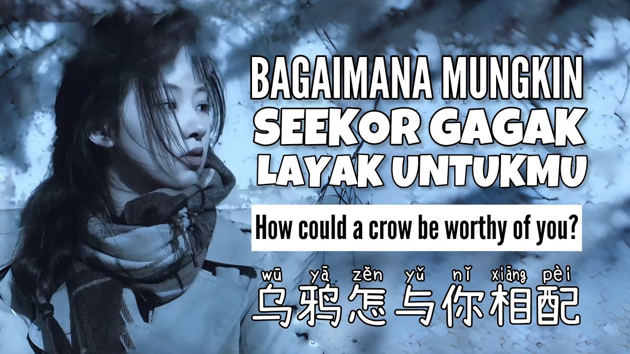 乌鸦怎与你相配 • Wu Ya Zen Yu Ni Xiang Pei • 烟嗓船长 • Bagaimana Mungkin Seekor Gagak Layak Untukmu