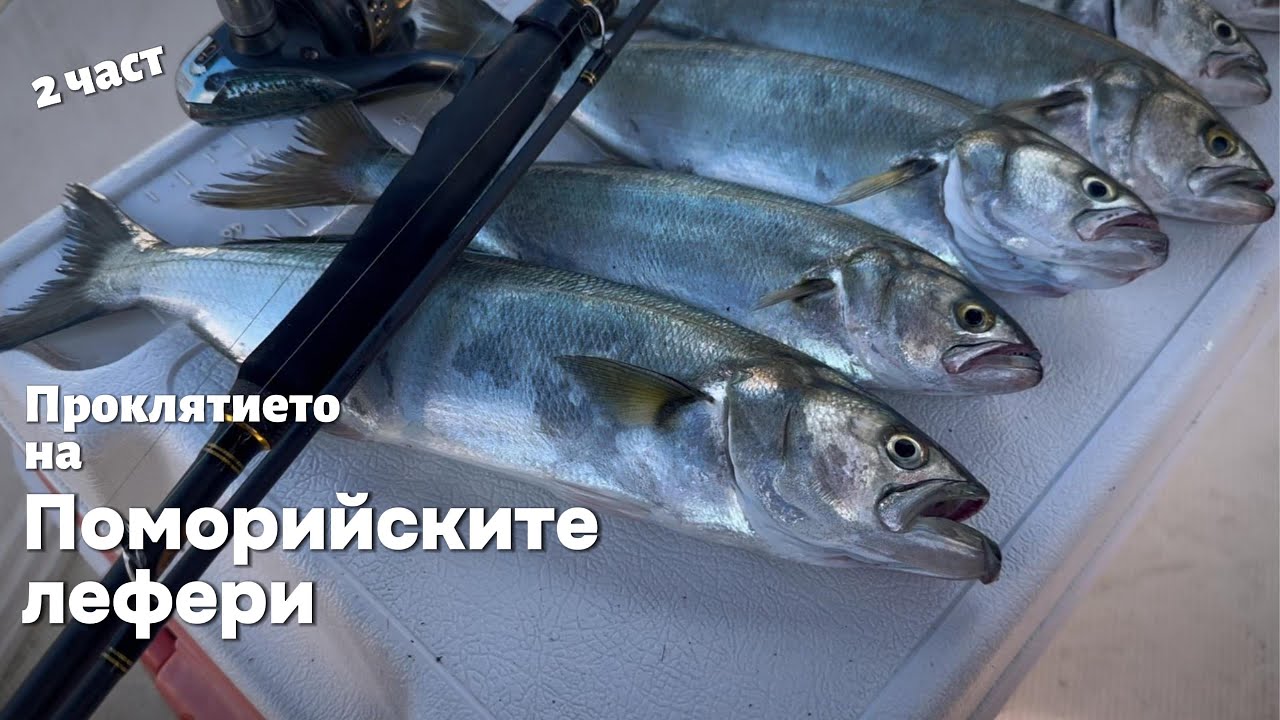 Проклятието на Поморийските ЛЕФЕРИ - 2 част