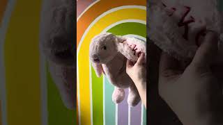 Custom Embroidered Easter Bunny!