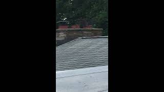 IMG 8200