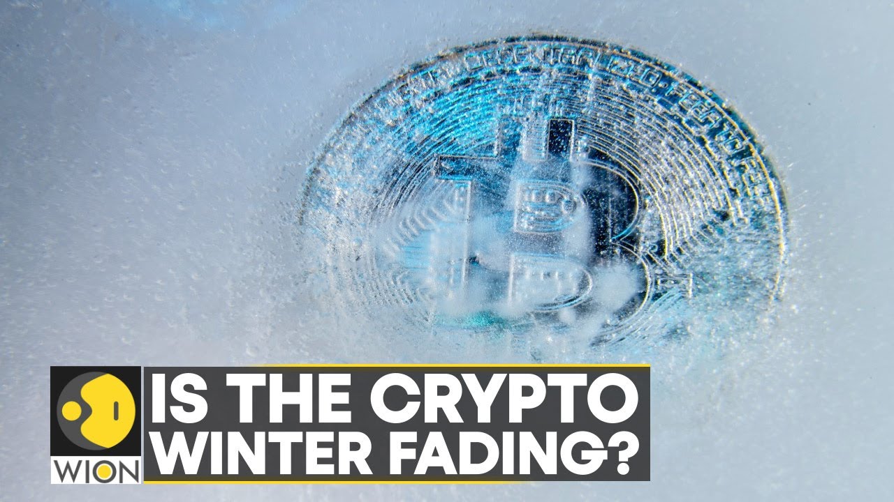 Crypto market jumps by $280 billion, crisis begins to fade | Latest World News | WION