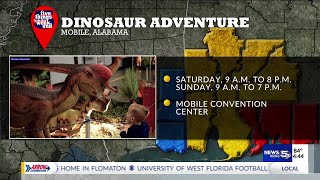 5 Things To Do This Weekend: Aug. 28-30