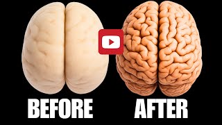 7 Easy Brain Workouts to Boost Power & Pinpoint Focus