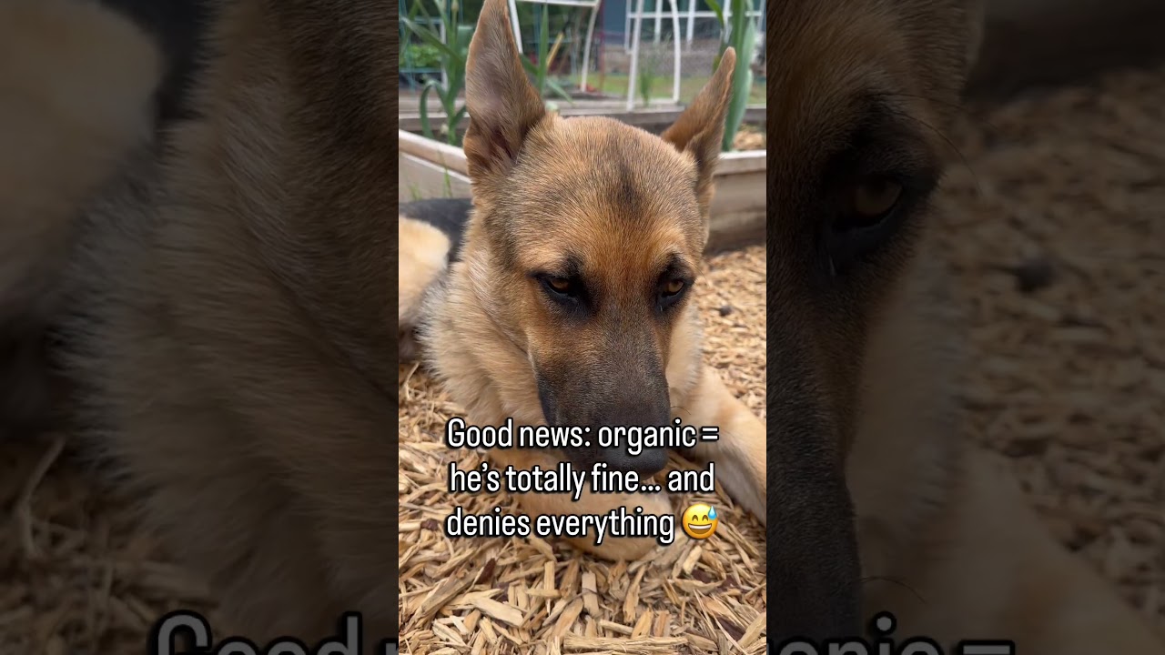 Uploads from From Seed to Spoon Garden Planning App