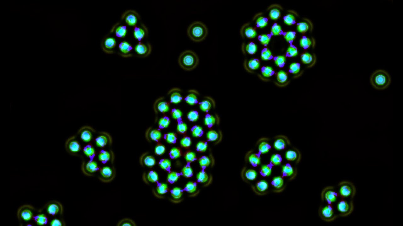 Complex cell formation (almost!) in a Multiple Neighborhood Cellular Automata