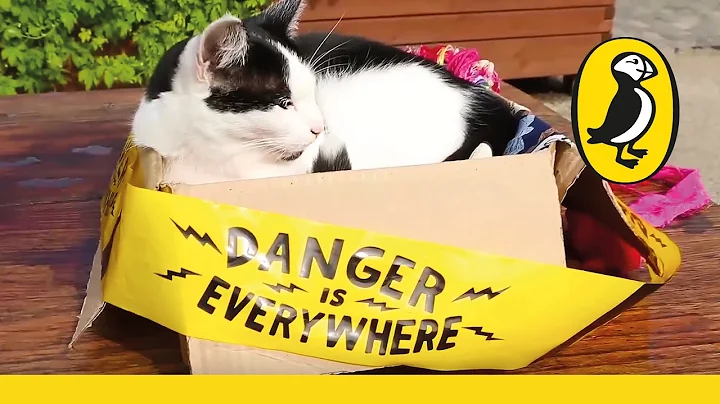 Danger Is Everywhere | Danger Animals - DayDayNews