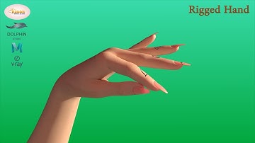 3d Hand rigged - Maya - VRayTextures