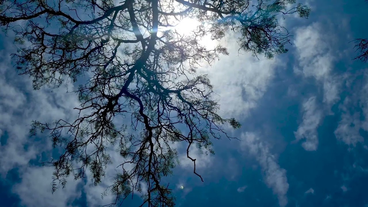 What is unconditioned reality?