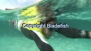 その他 品 BLADEFISH 5000 水中スクーター