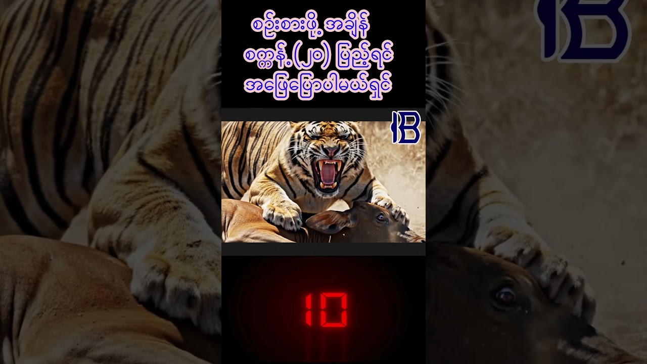 Какова эта пословица?