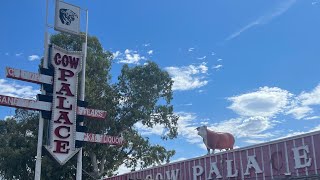 Gila Monster JS - Kaktus (Official Instrumental)