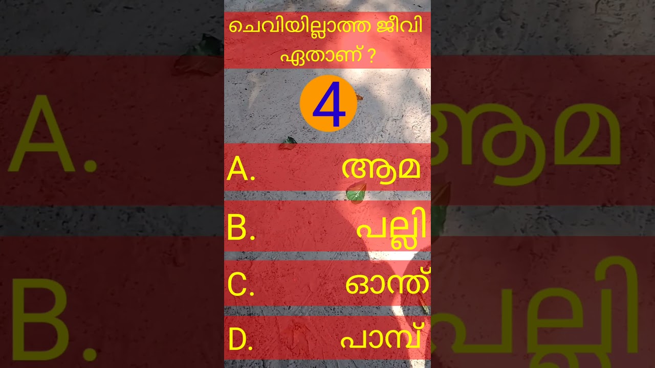 Gk about a creature that cannot be heard 