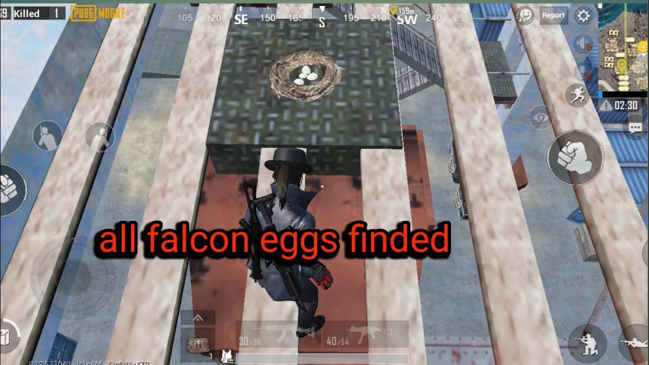 Find all falcon eggs | pubg mobile| dj toufik with pubg | like and subscribe |