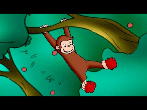 ¡Vamos a recoger manzanas!| Jorge El Curioso | Dibujos Animados en Español