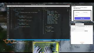 Web HTML CSS For Beginngers - Display, In Line Block Challenge 4 -  Sign up form | ASMR Programming