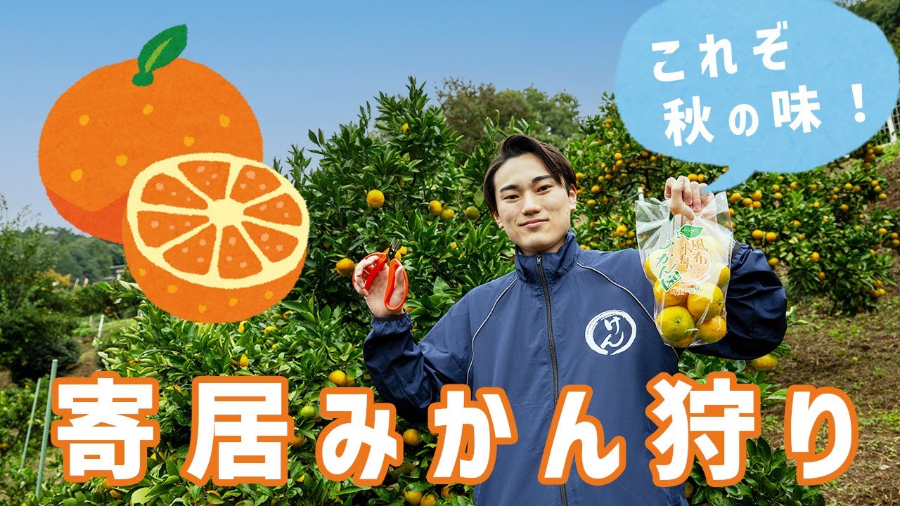 hq720.jpg?sqp=-