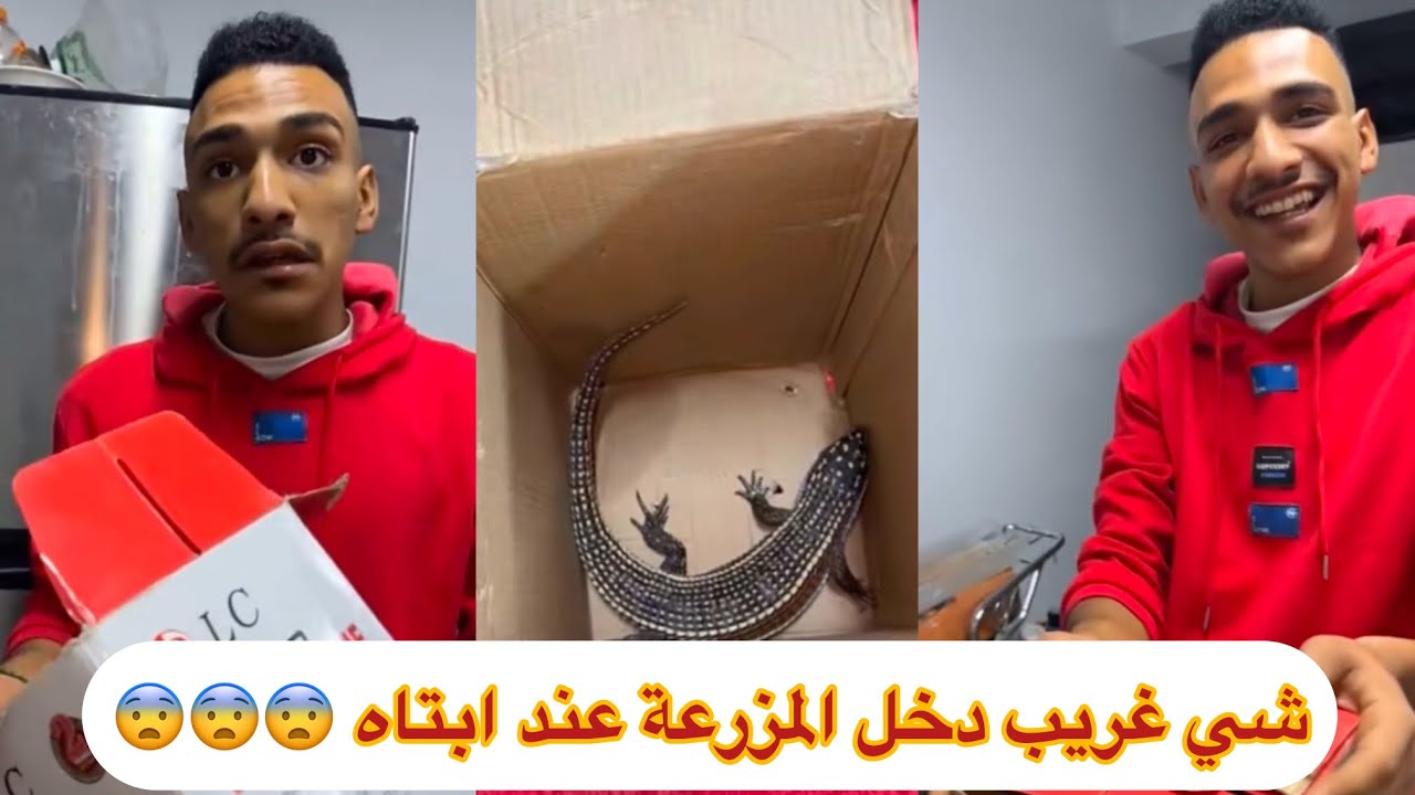 شي غريب دخل المزرعة عند #ابتاه #رعب لنهاية 😨😨😨