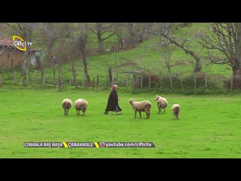 Yenice Taban Köyünde