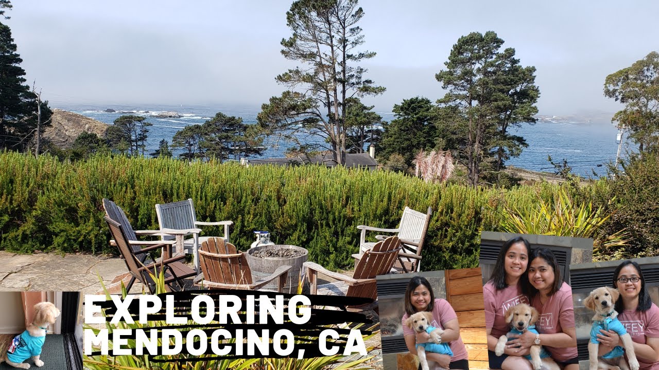 Exploring Mendocino, California Weekend Getaway Pet Friendly Airbnb in Mendocino, California