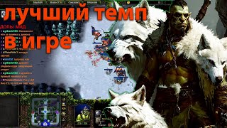 ОРК ТЕМПОВИЧЕК В SURVIVAL CHAOS WARCRAFT 3