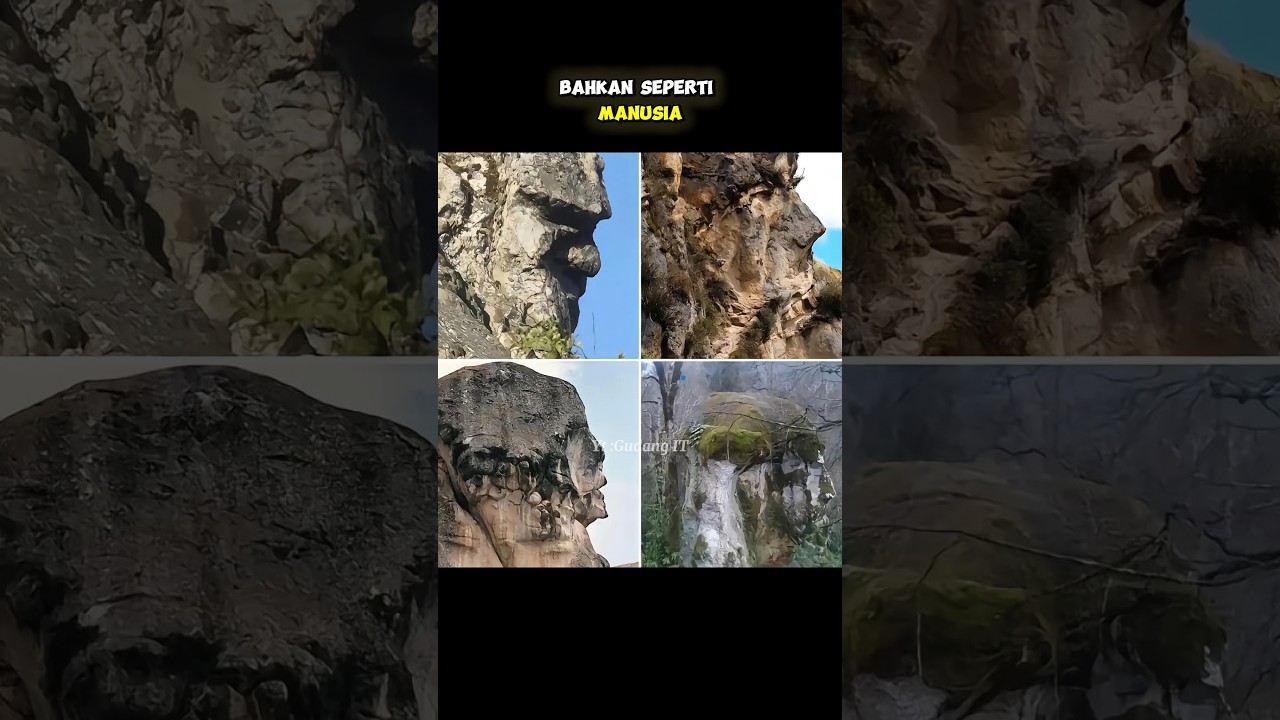 HEWAN RAKSASA YANG MENJADI BATU 