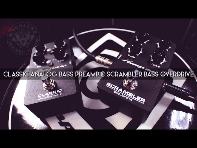 Ampeg BA 115 Amplificatore combo per basso, V2 - Ex Demo | Gear4music