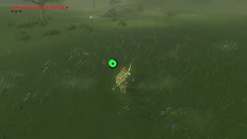 [DAY 723] of finding one korok seed everyday until Totk comes out