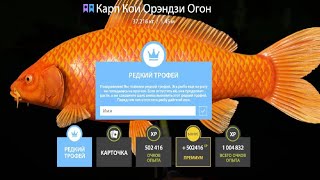 картинка: ПРОВЕРЯЕМ ФАРМ СЕРЕБРА и КОИ на МЕДНОМ ОЗЕРЕ и ЗА РАЗМОТОМ на ОСЕТРА РУССКАЯ РЫБАЛКА 4 РР4