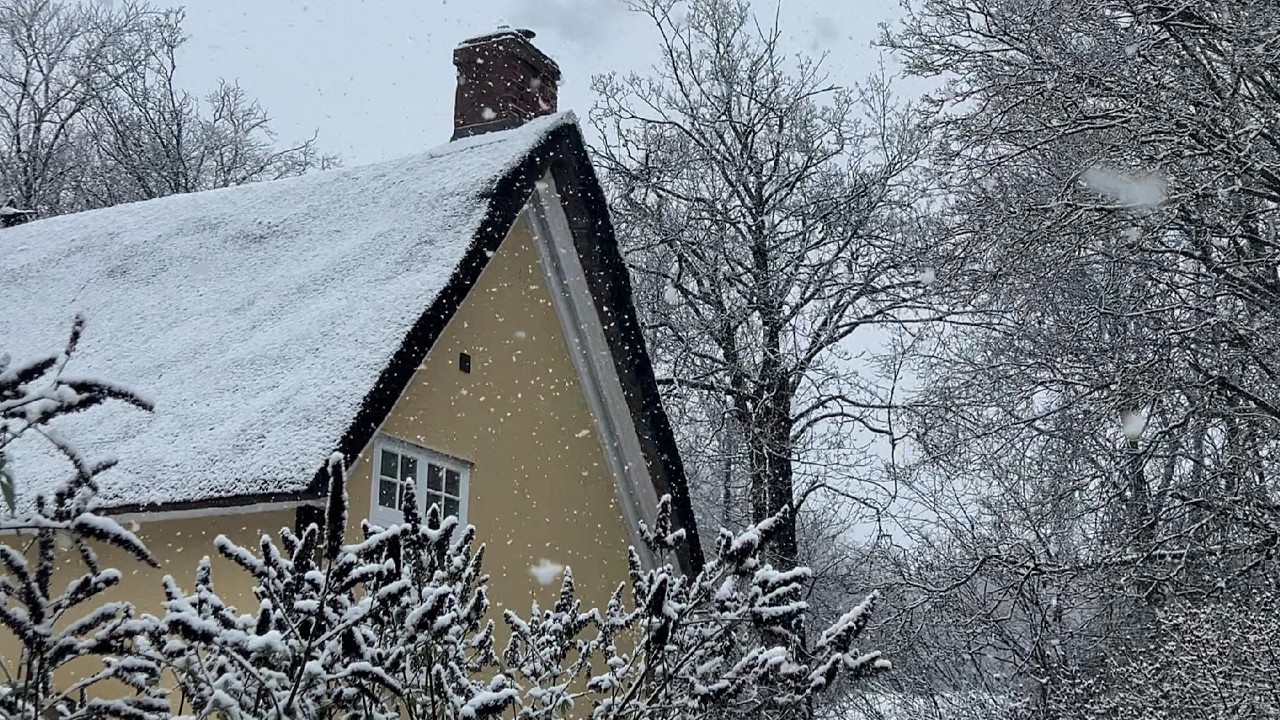 Snow Falling, Roast in the Oven | A Quiet Cottage Day