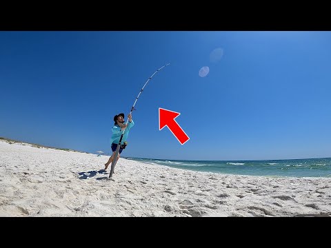We *Finally* HIT the Fishing *JACKPOT*! USING DEAD SHRIMP OFF OF PUBLIC BEACH PAID OFF!
