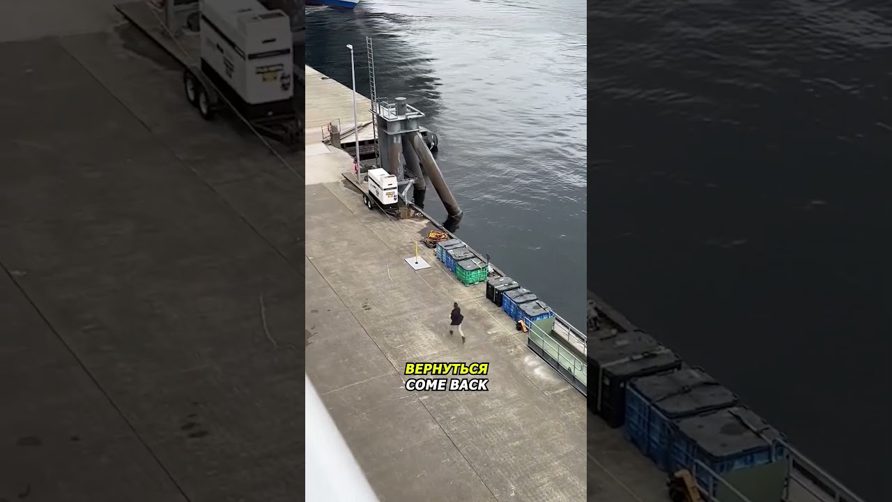 Опоздавший пассажир гонится за лайнером