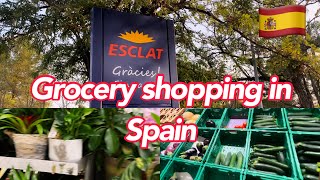 Download lagu Grocery prices in 2023 || ESCLAT Spain || grocery shopping in ESCLAT spain ||