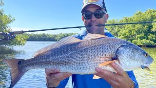 Tampa Bay fishing forecast: Feb. 4, 2022